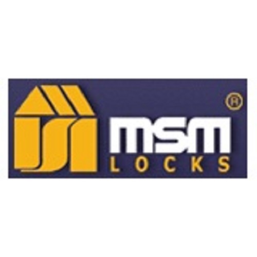 логотип MSM