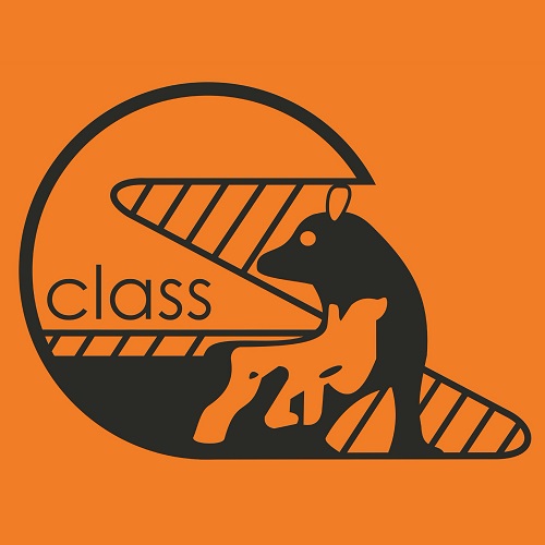 логотип CLASS