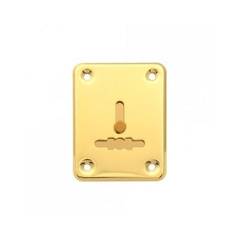 Накладка декоративная APECS DP-S-01 G shutter золото (1 шт)