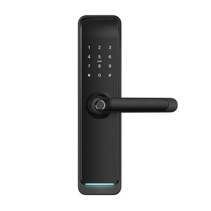 Электронный замок NOVILOCK Smart Fast BLACK черный (IP55; DC 6В)