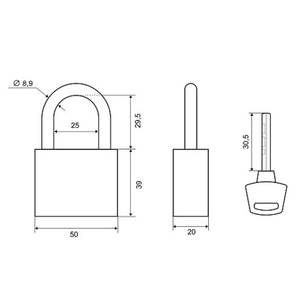 Замок навесной PALLADIUM 302B-50