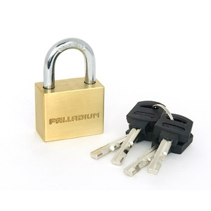 Замок навесной PALLADIUM 302B-40