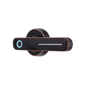 Замок-ручка электронный Hogo R01 с отпечатком пальца, черный /60807/