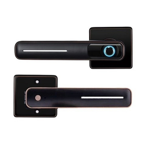 Замок-ручка электронный Hogo R05 с отпечатком пальца, черный /60809/