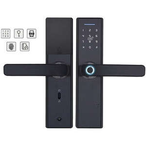 Биометрический Смарт-замок RAYKUBE X2 wifi с приложением TTlock