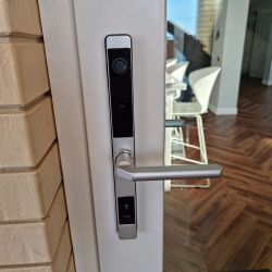 Биометрический Смарт-замок Badodo Security A+8530 серебро с приложением Ttlock