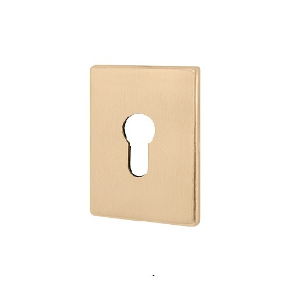 Декоративная накладка FUARO ESC 486-C RL SSG сатин.золото /46483/ (1 шт)