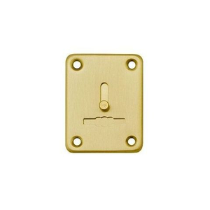 Декоративная накладка FUARO ESC 081 SG мат.золото /20215/ (1 шт)