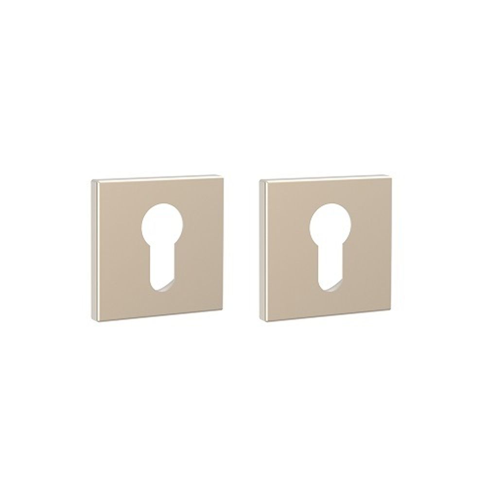 Накладка под цилиндр PUNTO ET ARC.Q52 SN-3