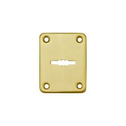 Декоративная накладка FUARO ESC 082 SG мат.золото
