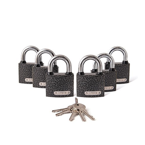 Замки навесные APECS PD-01-50 (6 замков + 5 кл.)