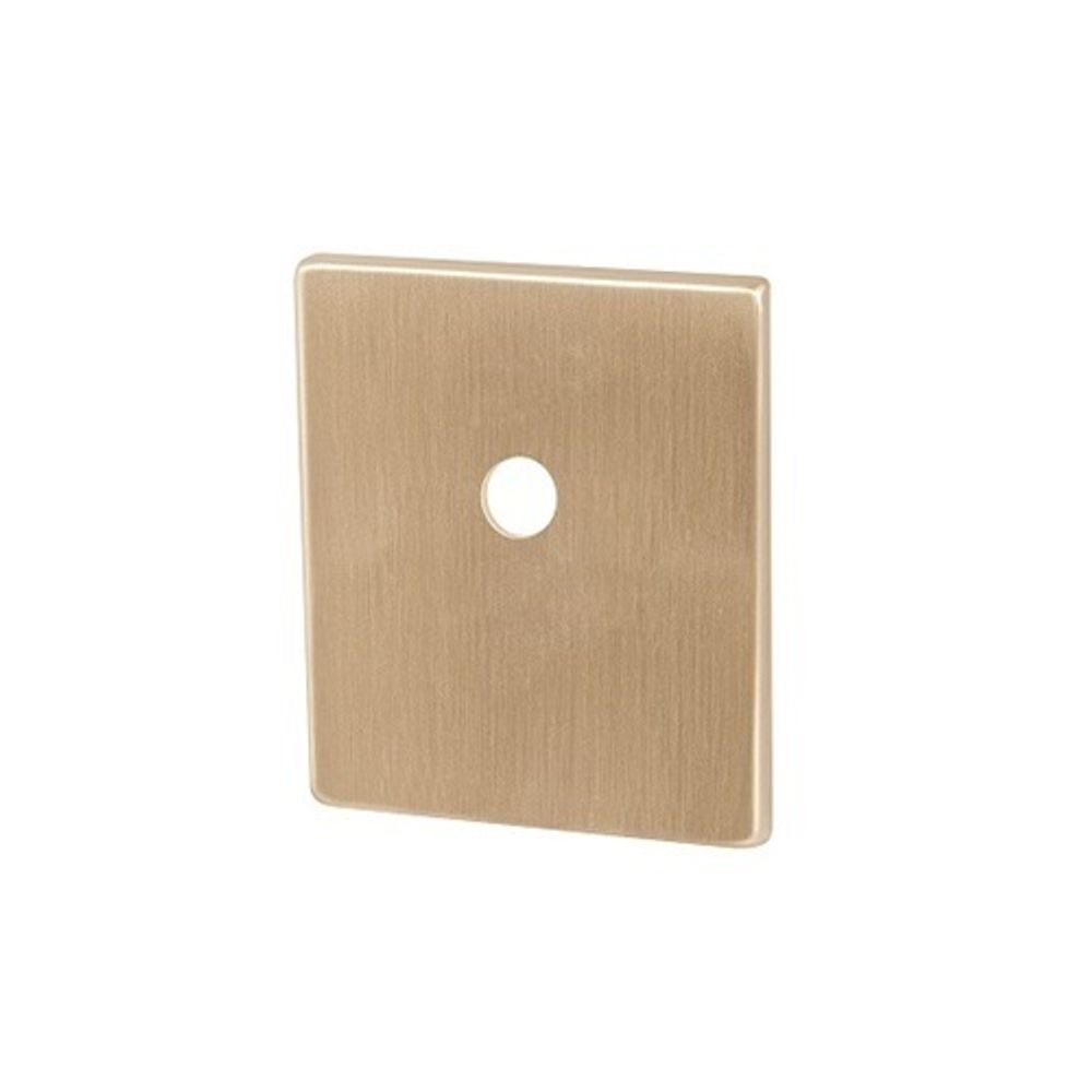 Накладка на шток цилиндра ARMADILLO ESC.O.USS/K (BK Protector/US FSG-39 флорентийское золото /48135/