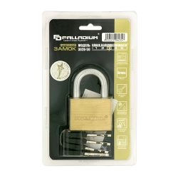 Замок навесной PALLADIUM 302B-50