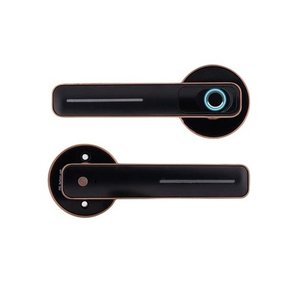 Замок-ручка электронный Hogo R01 с отпечатком пальца, черный /60807/