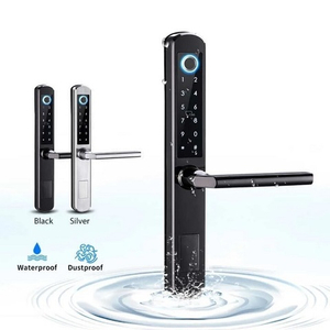 Биометрический Смарт-замок Badodo Security A+8530 серебро с приложением Ttlock