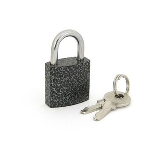 Замок навесной PALLADIUM 303F-25