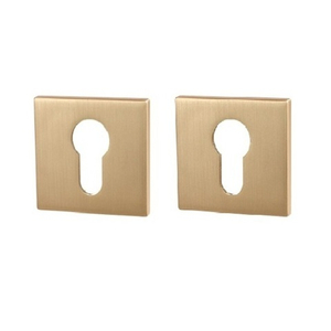 Накладка под цил. RENZ SLIM ET 03 SSG (золото матовое сатинированное)