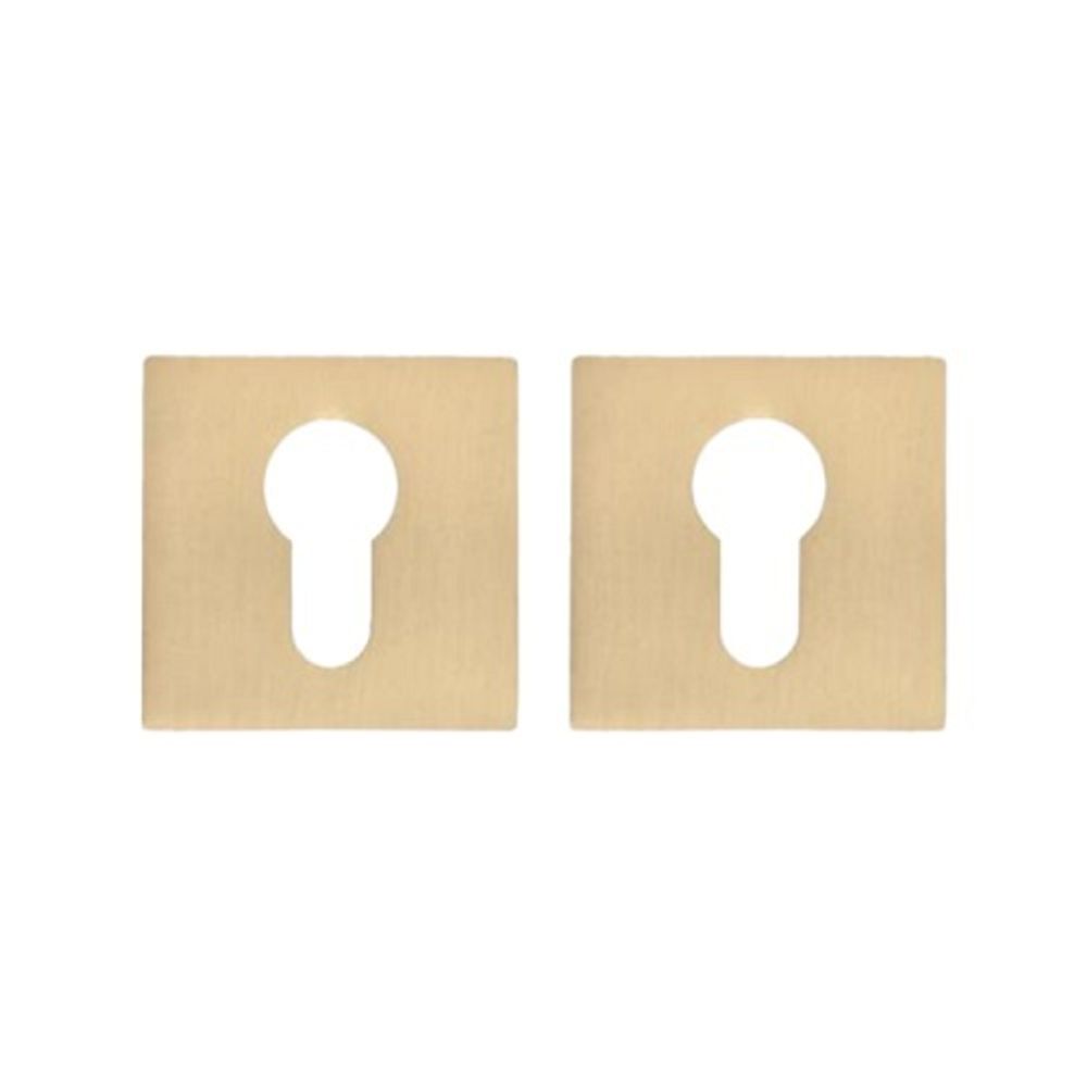 Накладка под цилиндр ABRISS ET 2101 SSG сатин. золото