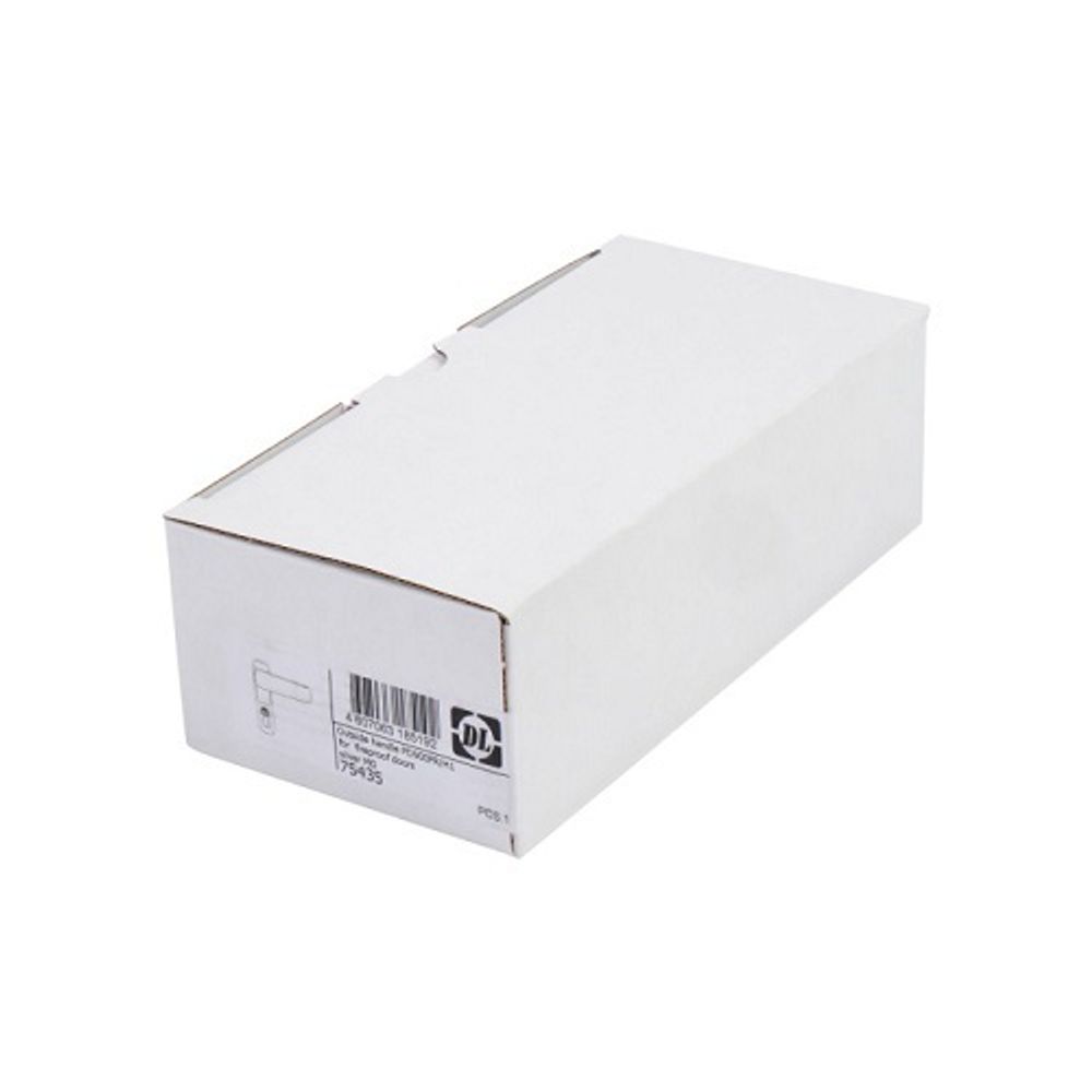 Внешняя нажимная ручка DOORLOCK DL PD900FR/H1, серебристая MG, с цилиндром