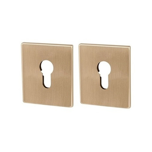 Декоративная накладка ARMADILLO ET Protector/USS FSG флорентийское золото /48133/