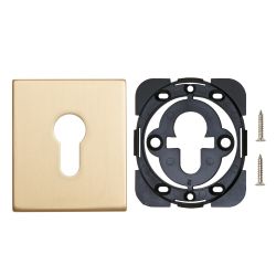 Декоративная накладка ARMADILLO ET Protector/USS FSG флорентийское золото /48133/