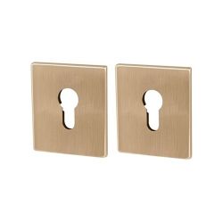 Декоративная накладка ARMADILLO ET Protector/USS FSG флорентийское золото