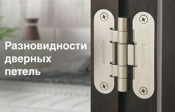 Разновидности дверных петель