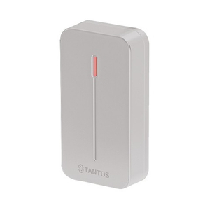 Считыватель TS-RDR-E mini серый