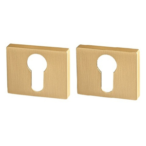 Накладка под цил. RENZ ET 01 SSG (сатин.золото)