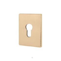 Декоративная накладка FUARO ESC 486-C RL SSG сатин.золото /46483/ (1 шт)